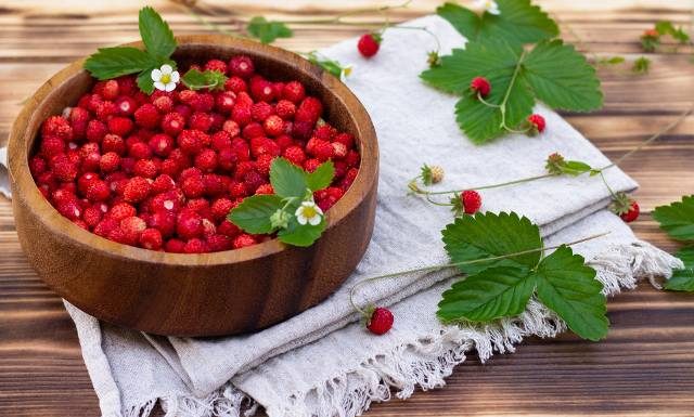Wygładza cerę i odmładza. Sięgnij też po jej liście na trawienie, trądzik i nadciśnienie. Wypróbuj łatwy przepis na herbatę z liści poziomki
