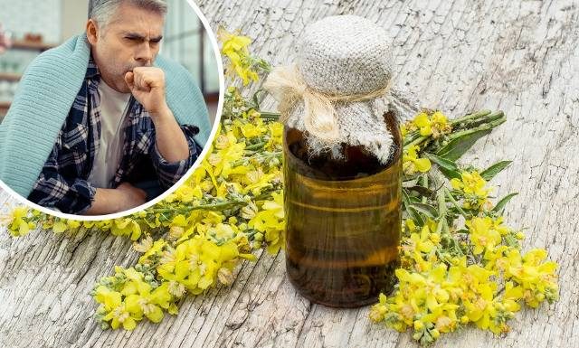 Lecznicza mikstura idealna na uporczywy kaszel, ból gardła i nadciśnienie. Wypróbuj babciny przepis na syrop z 4 składników