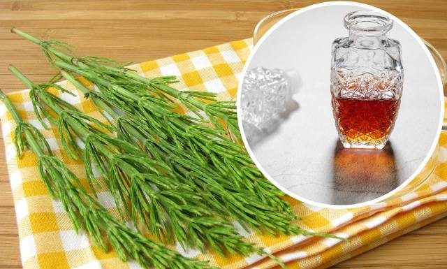 Dla urody, na zmarszczki, niestrawność i reumatyzm. Wypróbuj nalewkę ze skrzypu polnego. Sprawdź tradycyjny przepis na ziołowy trunek