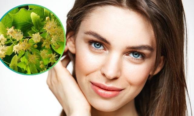 Darmowy kosmetyk i lek prosto z drzewa. Zbierz już teraz. Wygładzi cerę, nawilży włosy, pomoże na bezsenność. Wypróbuj przepisy