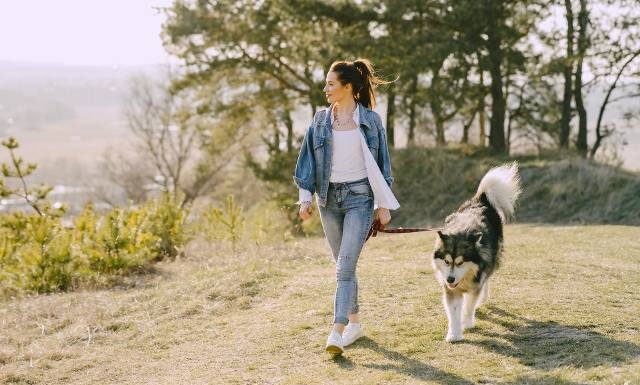 Jakie efekty daje spacerowanie z psem? Poznaj 7 zalet wyprowadzania pupila. To nie tylko odchudzanie! Skorzystają też serce i głowa