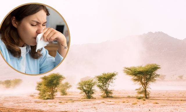 To nie przeziębienie. Pył z Sahary znów dotarł nad Polskę. Przez niego możesz mieć kaszel i katar. Jak pustynne powietrze wpływa na zdrowie?