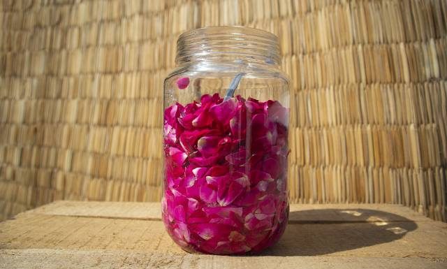 Nalewka z płatków dzikiej róży to prawdziwa bomba witaminowa. Wypróbuj przepis i zobacz, co jeszcze można zrobić z płatków róż?