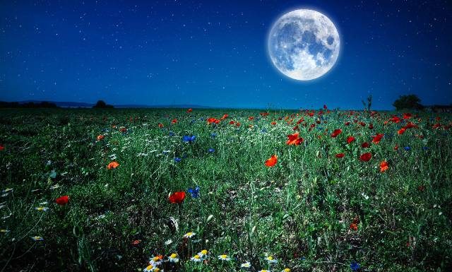 Koźla Pełnia niebawem na niebie. Czy fazy księżyca mają wpływ na nasze zdrowie? Poznaj fakty i mity. Sprawdź, Kiedy będzie pełnia w lipcu?