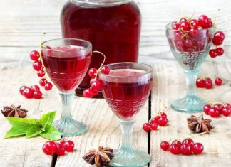 Umieść lato w butelce. To naturalny środek na trawienie, odporność i nadciśnienie. Wypróbuj babciny przepis na nalewkę z czerwonej porzeczki
