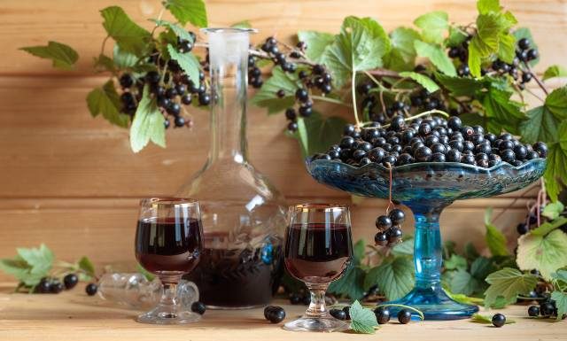 Na sokoli wzrok i odporność. Wypróbuj przepis babci na nalewkę z czarnej porzeczki. Specyfik odmładza i obniża poziom cukru i cholesterolu