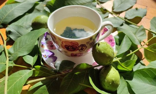 Ta herbatka pomoże na biegunkę i dnę moczanową, obniży poziom cukru we krwi. Wypróbuj prosty przepis na napar z liści orzecha włoskiego