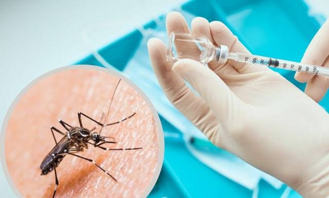 Są już w 13 państwach UE, roznoszą wirus. Jest pierwsza szczepionka na tropikalną chorobę. Zobacz, gdzie można się nią zarazić