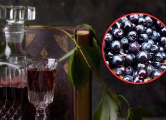 Zrób, póki trwa sezon! Nalewka z borówki czarnej na niestrawność i „zły” cholesterol. Wypróbuj prosty przepis na jagodówkę