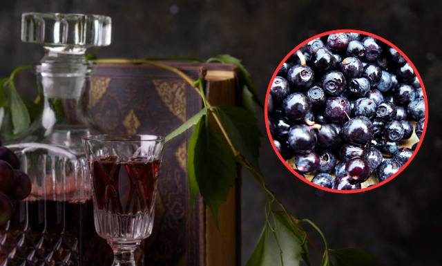 Zrób, póki trwa sezon! Nalewka z borówki czarnej na niestrawność i „zły” cholesterol. Wypróbuj prosty przepis na jagodówkę