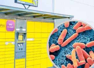 Uwaga, bakterie w paczkomatach! Polscy naukowcy zbadali automaty i ostrzegają korzystających. Zobacz, co może ci grozić
