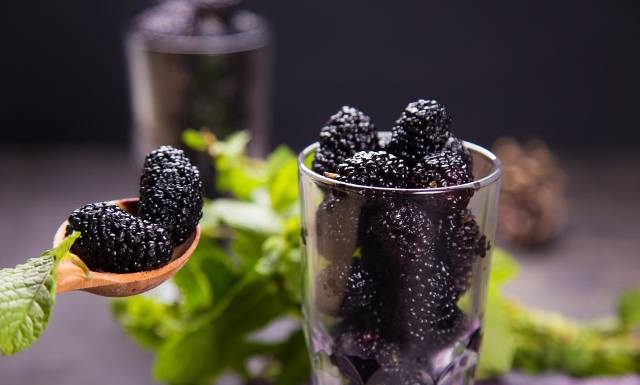 Przypomina jeżynę, ale to morwa czarna! Zrobisz z niej nalewkę, która chroni przed cukrzycą i miażdżycą. Wypróbuj przepis na morwówkę