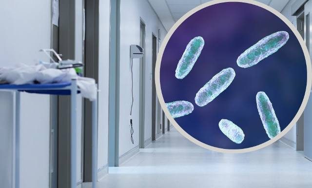 Bakteria New Delhi jest odporna na antybiotyki. Wywołuje zapalenie płuc i sepsę. Superbakterię wykryto w polskim szpitalu. Komu zagraża?