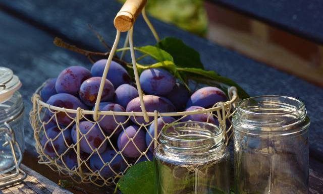 5 powodów, aby jeść śliwki świeże i suszone. Pomogą nie tylko na zaparcia, ale też przy miażdżycy i nadciśnieniu tętniczym