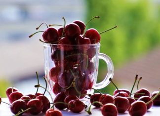 Nalewka od teraz jest chroniona jako dobro narodowe. Nowe przepisy wchodzą w życie