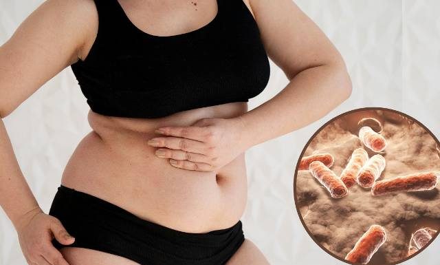 Otyłość przez bakterie? Naukowcy odkryli mikroorganizmy, które mogą powodować tycie. Zwiększają wchłanianie tłuszczu w jelitach