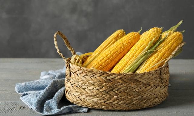 Na dobry wzrok i jelita. Dlaczego warto jeść kukurydzę? Korzyści jest wiele! Zobacz, jak zdrowa jest świeża kukurydza w kolbach