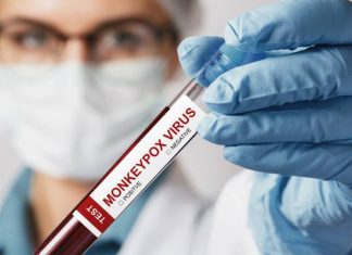 Nie grozi nam kolejna pandemia? „Małpia ospa nie jest nowym COVID-19”. WHO zapewnia, że wirus jest pod kontrolą