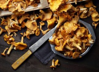 Pomogą na pasożyty i trawienie. 5 powodów, dla których warto jeść kurki. Jajecznicę z kurkami mogą jeść nawet osoby z dną moczanową