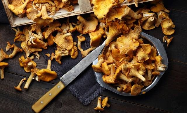 Pomogą na pasożyty i trawienie. 5 powodów, dla których warto jeść kurki. Jajecznicę z kurkami mogą jeść nawet osoby z dną moczanową