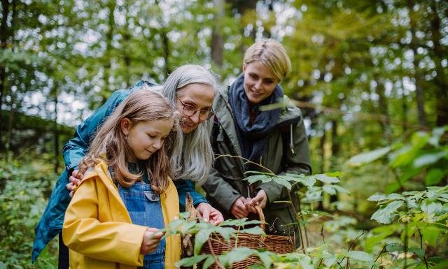 Komu szkodzi jedzenie grzybów? Jesienne dary lasu mogą nie pójść na zdrowie szczególnie tym osobom. Uwaga na seniorów i dzieci!