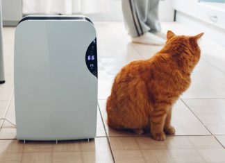 Niezawodny oczyszczacz powietrza: jaki wybrać? O tym pamiętaj przed zakupem. Te oczyszczacze świetnie poradzą sobie ze smogiem
