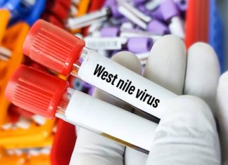Groźny wirus w Europie. W tym kraju nie wykrywano go od lat. To kolejne państwo na liście, gdzie można zarazić się tą chorobą