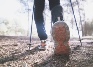 Nordic to więcej niż chodzenie. Łapiąc za kije, wprawiasz w ruch prawie całe ciało! Zobacz zasady doboru kijków i technikę