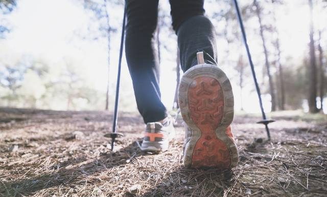 Nordic to więcej niż chodzenie. Łapiąc za kije, wprawiasz w ruch prawie całe ciało! Zobacz zasady doboru kijków i technikę