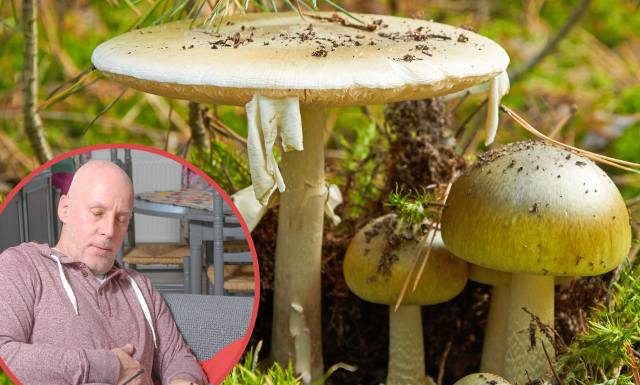 Te objawy mogą świadczyć o zatruciu grzybami. Nie lekceważ tych symptomów – wezwij pomoc, bo może ucierpieć Twoje życie lub zdrowie