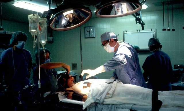 Choroba nowotworowa będzie zwalczana bakterią E. coli? Bakterie jelitowe mogą „naprowadzać” immunoterapię nowotworów. Niezwykłe odkrycie