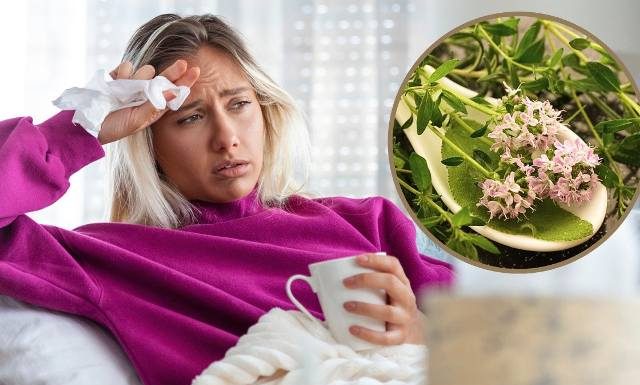 Pomogą wyleczyć zapalenie zatok, zwalczą katar i ból głowy. Wypróbuj zioła na zatoki do inhalacji i picia. Które z nich wybrać?