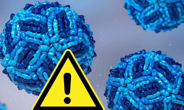 Wirus gorączki Zachodniego Nilu w Polsce. GIS potwierdza pierwsze rodzime zakażenie WNV