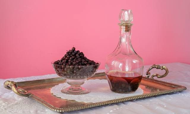 Zbierz dzikie śliwki i zrób nalewkę. To już czas na tarninę, choć owoce możesz zbierać też w mrozie. Wypróbuj przepis na tarninówkę