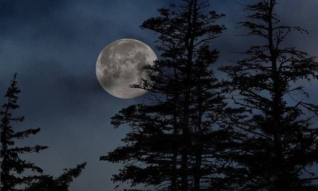 Mroźny Księżyc, czyli Pełnia Bobrów na listopadowym niebie. Czy pełnia księżyca wpływa na człowieka? Poznaj fakty i mity na ten temat