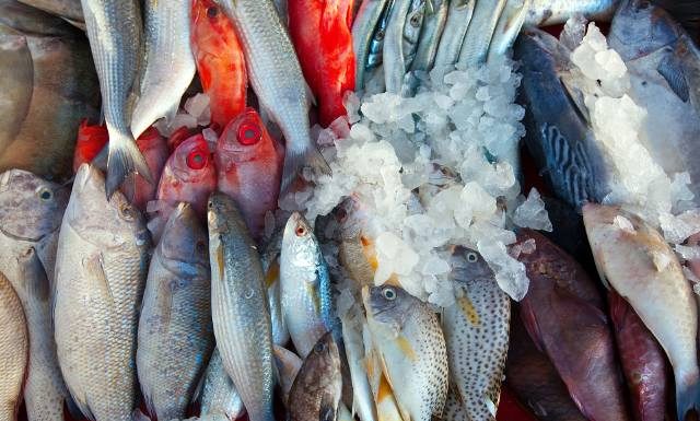 Nie jedz ich, bo ci zaszkodzą. Ryby są zdrowe, ale nie wszystkie. Te są najgorsze z nich. Mogą zawierać toksyny i powodować stan zapalny