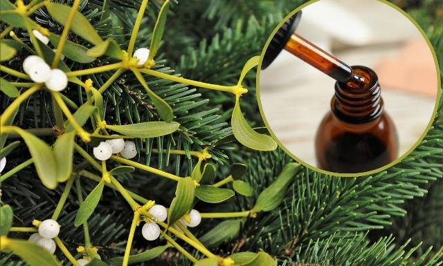 Po świętach nie wyrzucaj tylko zrób z niej domowy lek na nadciśnienie i miażdżycę. Wzmocni organizm i poprawi trawienie. Wypróbuj przepis