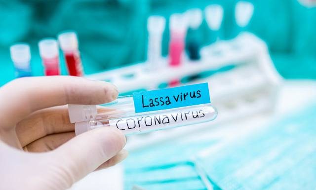 Setki chorych, 22 osoby zmarły. Gorączka Lassa się rozprzestrzenia
