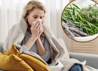 Pomogą wyleczyć zapalenie zatok, zwalczą katar i ból głowy. Wypróbuj zioła na zatoki do inhalacji i picia. Które są najlepsze?