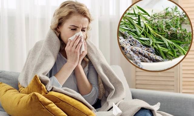 Pomogą wyleczyć zapalenie zatok, zwalczą katar i ból głowy. Wypróbuj zioła na zatoki do inhalacji i picia. Które są najlepsze?