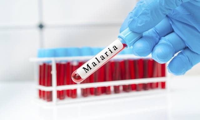 Malaria to choroba zagrażająca życiu. Możesz się nią zarazić podczas egzotycznej podróży. Sprawdź, jakie są objawy malarii