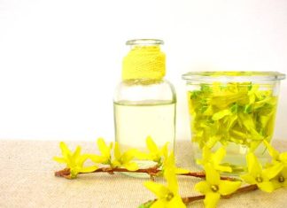 Idealna na wiosenny detoks. Wzmacnia organizm i serce. Wypróbuj przepis na nalewkę z pierwszych kwiatów