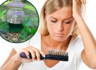 Wiosenne kosmetyki za darmo. Zrób je sama. Poznaj przepis na tonik do twarzy na zmarszczki i wzmacniającą płukankę do włosów z pokrzywy