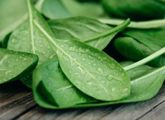 Szpinak – najlepszy przyjaciel mięśni i sprzymierzeniec odchudzania. Sprawdź, kto powinien na niego uważać