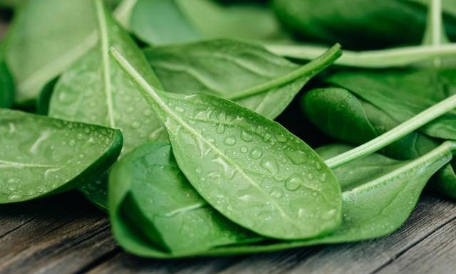 Szpinak – najlepszy przyjaciel mięśni i sprzymierzeniec odchudzania. Sprawdź, kto powinien na niego uważać