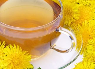 Mniszek lekarski w rozkwicie! Wspiera trawienie, oczyszcza organizm i reguluje poziom cukru. Przygotuj z niego pyszne przetwory