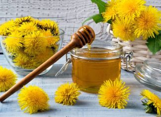 Smaczny i zdrowy na odporność i trawienie. Przygotuj syrop z mniszka lekarskiego! Łagodzi kaszel i objawy anemii. Wypróbuj przepis!