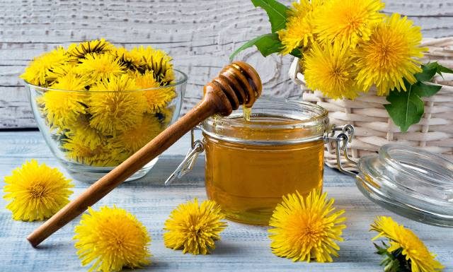 Smaczny i zdrowy na odporność i trawienie. Przygotuj syrop z mniszka lekarskiego! Łagodzi kaszel i objawy anemii. Wypróbuj przepis!