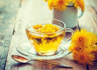 Napar z mniszka lekarskiego to naturalny środek na odporność. Na co jeszcze pomaga? Podajemy przepis na herbatkę z mniszka