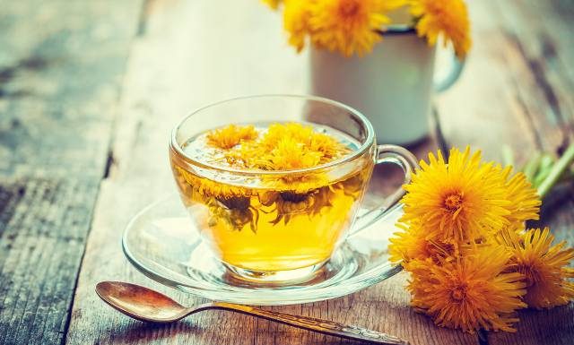 Napar z mniszka lekarskiego to naturalny środek na odporność. Na co jeszcze pomaga? Podajemy przepis na herbatkę z mniszka